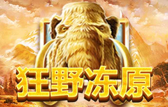 四期期准三期内必出